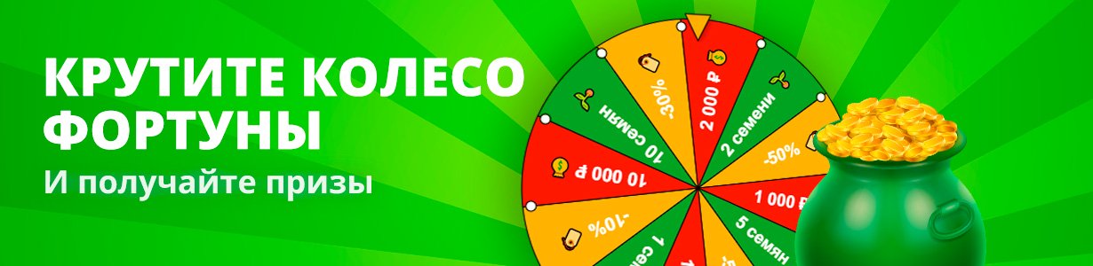 Скидки на семена конопли товары недели