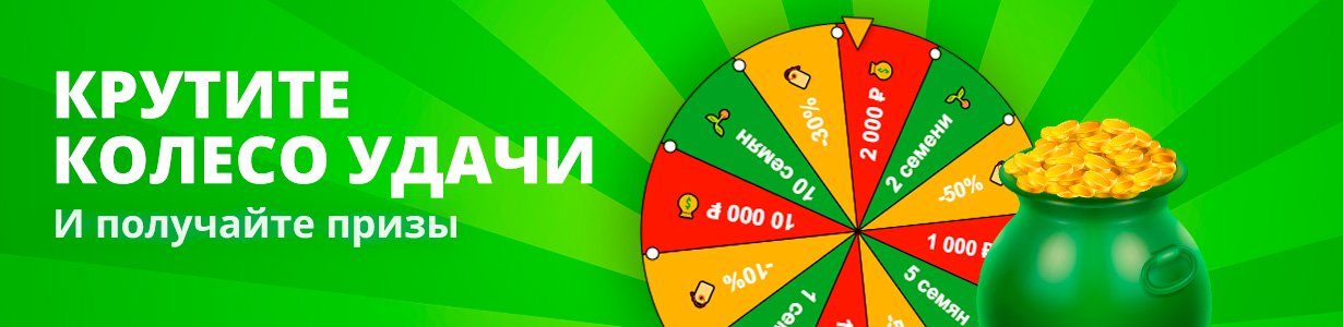 Колесо удачи выиграй семена
